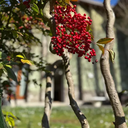 Il Giardino Nascosto - Bellagio, Di Prázdninový dům